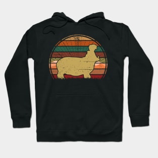 Hippo Sunset Hoodie